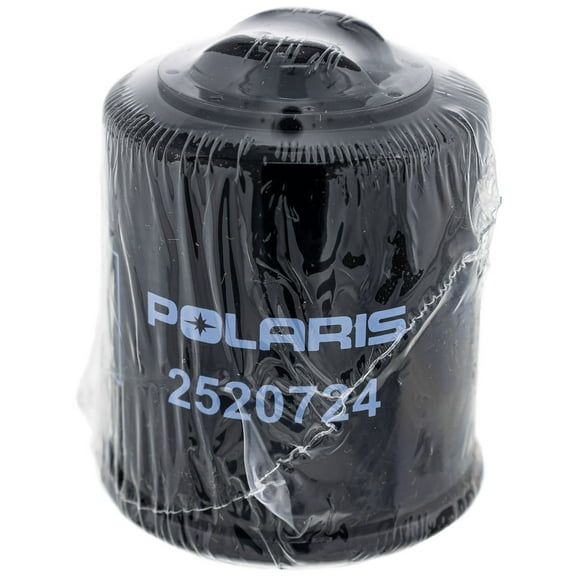 Polaris 2520724 Oil Filter Sawtooth Phoenix 0452462 452462