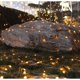 thumbnail image 5 of Luces mágicas de hadas centelleantes, cadena de luces de cortina de color blanco cálido para decoraciones de bodas inolvidables, diseño duradero y resistente que garantiza un uso durante todo el año,, 5 of 5