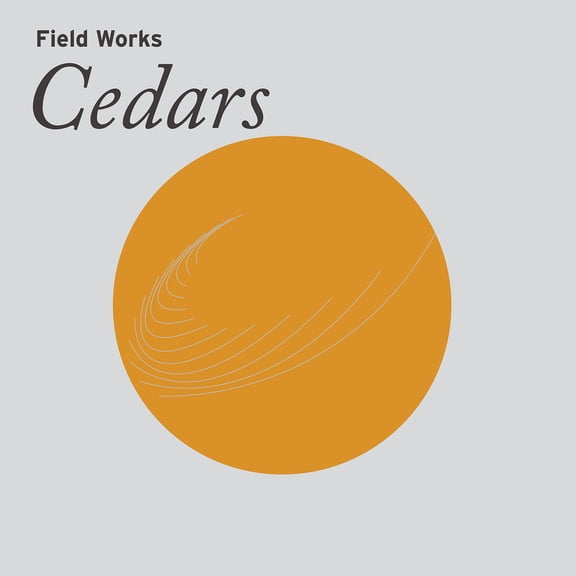 Field Works - Cedars - Electronica - Vinyl