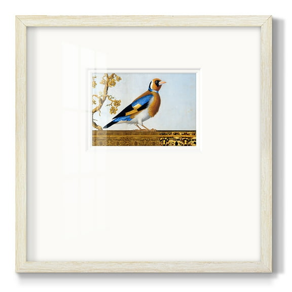 Golden FinchPremium Framed Print