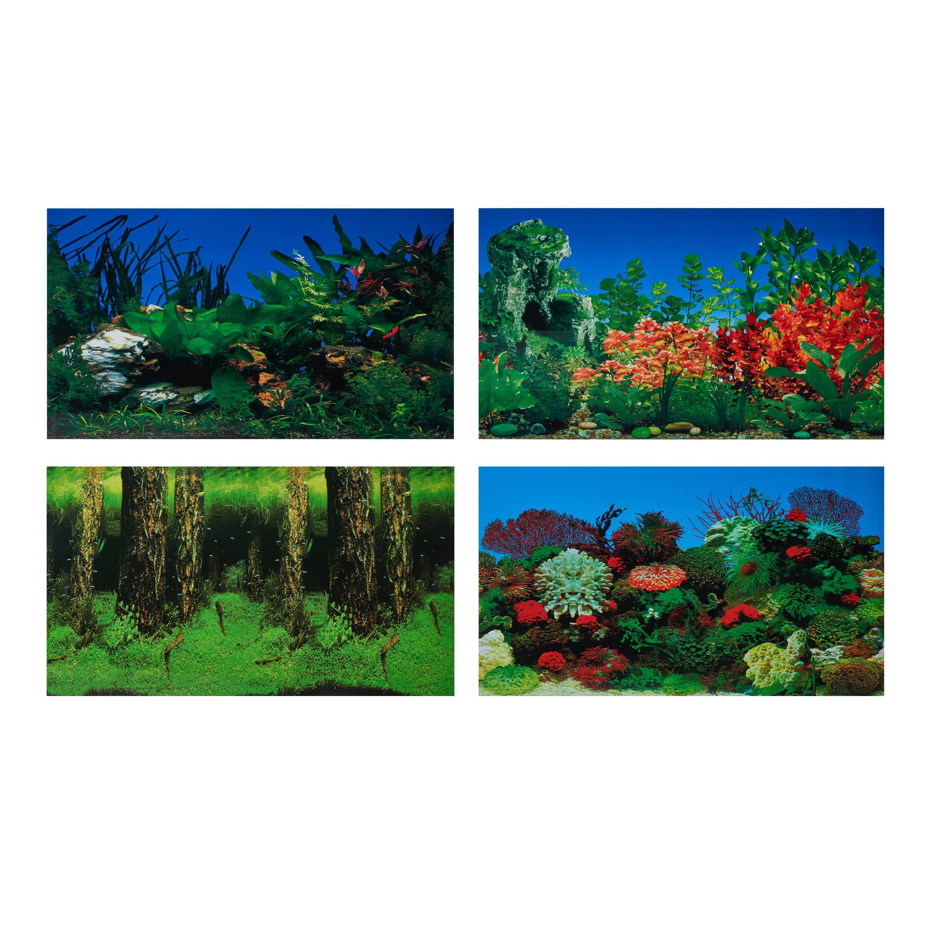 Fish Tank Aquarium Background Double Sided Cold Water Tropical Marine Tank 