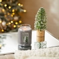 thumbnail image 3 of Yankee Candle Silver Birch - Original Large Jar Scented Candle, 3 of 4
