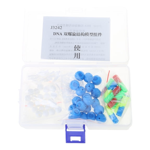 Deoxyribonucleic Acid Models Double Helix DNA Models Set DNA Structure Models For Educational And Biology Teaching