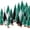 Black,white, variant on 30Pcs Christmas Decorations Mini Christmas Trees, Artificial Christmas Tree Bottle Brush Trees with Wooden Base for Christmas Decor Christmas Party Home Table Craft