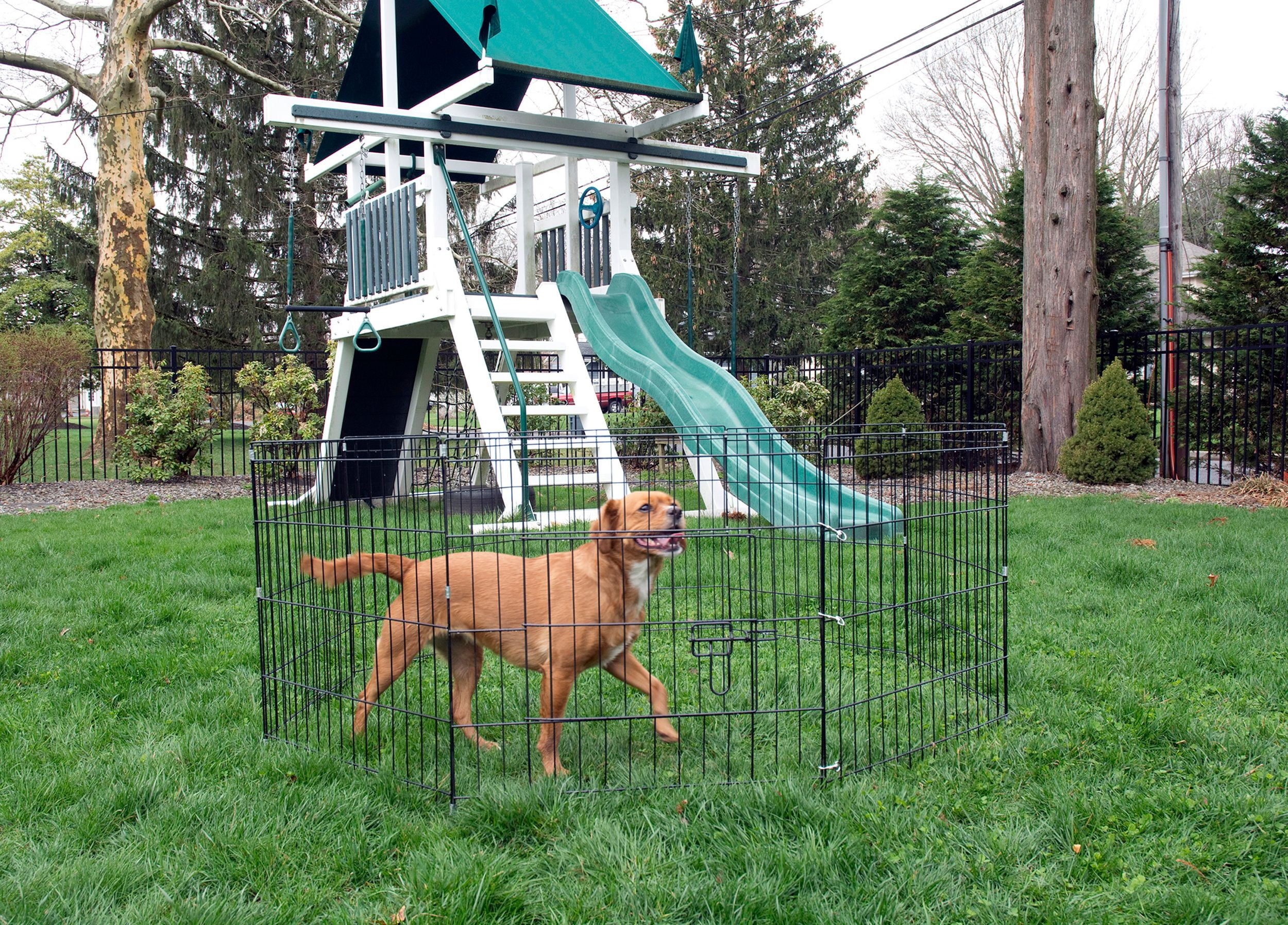 Iconic Pet - Octagon Eight Panel Portable (Foldable) Pet Dog Cat