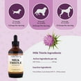 thumbnail image 2 of Amber NaturalZ Milk Thistle for Dogs & Cats | Herbal Supplement for Liver Health 4oz, 2 of 5