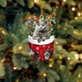 thumbnail image 3 of Festive Acrylic Pet Stocking Ornaments for Holiday Tree and Home Craft Hanging Decorations, 3 of 3