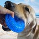 thumbnail image 2 of Pelota de juguete para perros con chirrido, duradera, para morder y masticar durante la dentición de cachorros, 5 pulgadas, anillo azul, 2 of 4