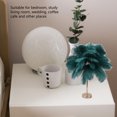 thumbnail image 4 of Ostrich Feather Night Light, Rechargeable Modern LED Decorative  Light with Feathers Dimmable Bedside Table Lamp Touch Switch Ostrich Feather Lamp for Bedroom Nightstand, 4 of 8