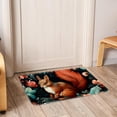 thumbnail image 6 of Squirrel Non-Slip Polyester Kitchen Mat Indoor Rug Area Rugs Machine Washable Indoor Mat, 6 of 6