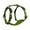 Green, variant on Alcott Adventure Dog Harness