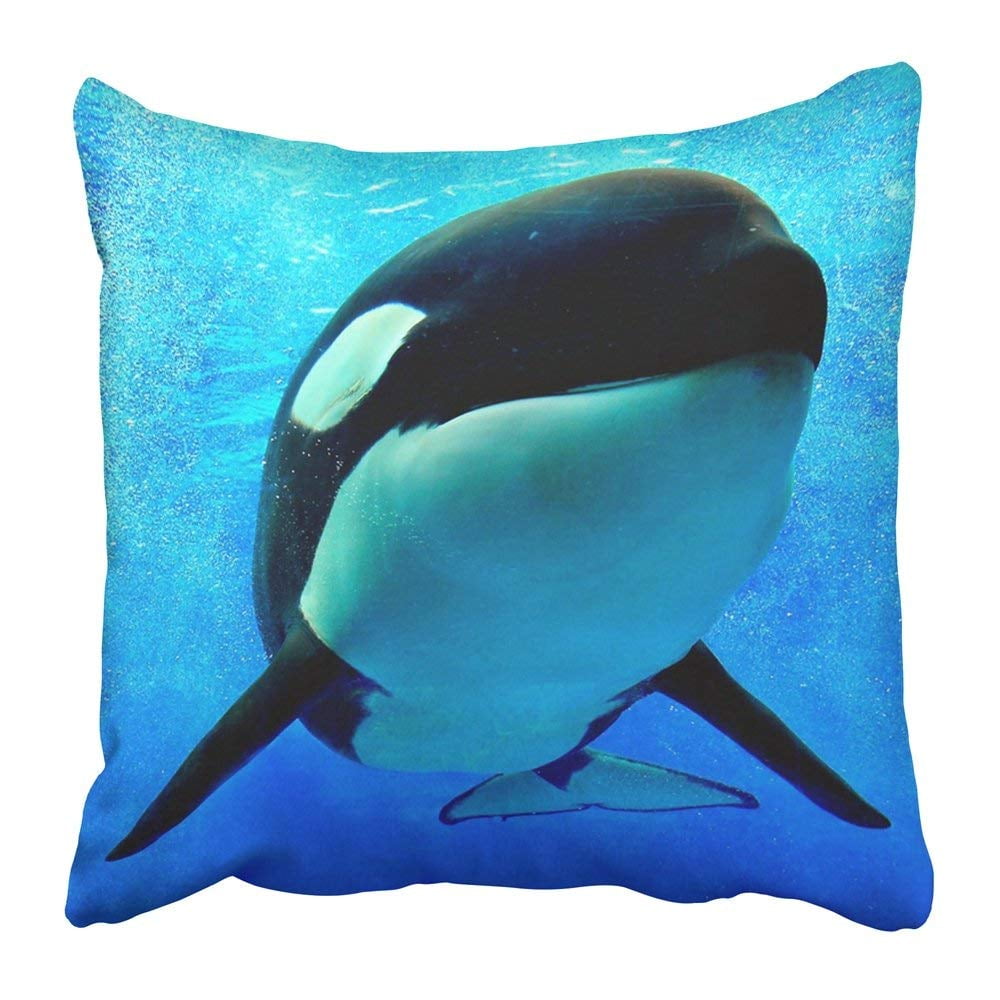 ARTJIA Blue Orca Killer Whale Swimming Underwater with Bubbles White
