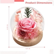 DFS Preserved Rose in Glass Dome, Forever Eternal Rose Flowers Bouquet, Long-Lasting Real Flowers for Her, Women, Mom, Wife, Birthday, Anniversary, Christmas - Champagne