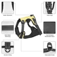 thumbnail image 5 of Kdxio Daisies Flowers Print No Pull Dog Harness Adjustable Reflective Oxford Easy Control Medium Large Dog Harness for Training and Everyday-Medium, 5 of 8