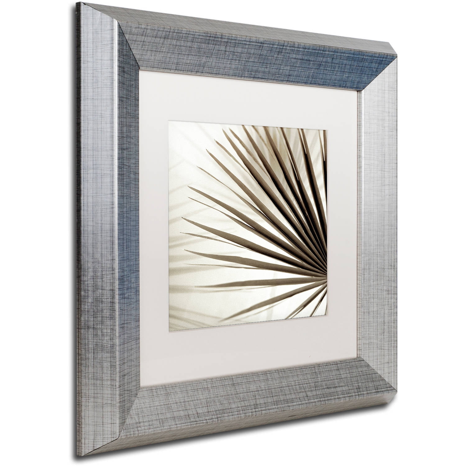 Trademark Fine Art "Florison 66" Canvas Art by Alan Blaustein, White Matte, Silver Frame
