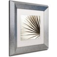 thumbnail image 2 of Trademark Fine Art "Florison 66" Canvas Art by Alan Blaustein, White Matte, Silver Frame, 2 of 4