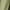 Green, variant on XuJwPNcy Cotton Linen Pants Women Drawstring Elastic Waist Capri Pants Casual Wide Leg Beach Capris with Pockets
