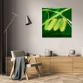 thumbnail image 3 of Bob Stefko 15x15 Gallery Wrapped Canvas Wall Art Titled - Simple Organics III, 3 of 4