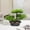 D, variant on NWOKYZGH Artificial Bonsai, Simulation Bonsai, Artificial Bonsai Simulation Plants Tree for Home and office Interior Plants Ornaments Emulate Decorative Mini Welcoming Pine