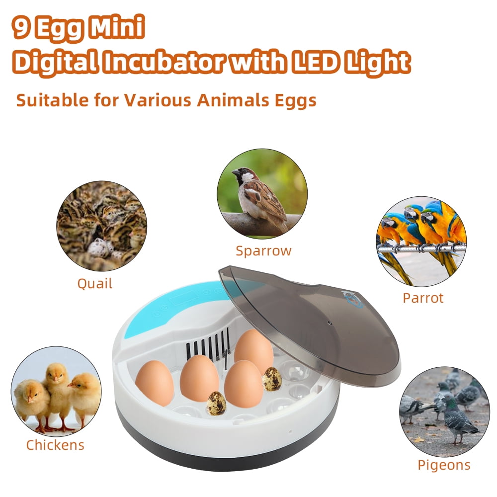 Canddidliike Mini Egg Incubator with Egg Candler, Humidity Display for Hatching Chickens Canddidliike Mini Egg Incubator with Egg Candler, Humidity Display for Hatching Chickens
