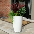 thumbnail image 5 of Mayne Versailles 26in Tall Planter - Polyethylene Planter - Espresso - Espresso Brown (5891-ES), 5 of 7