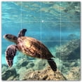 thumbnail image 1 of Picture-Tiles.com: Turtle Ceramic Tile Wall Mural WAL501066-44M. 24"W x 24"H using (16) 6" x 6" Ceramic Tiles-Satin Finish, 1 of 3