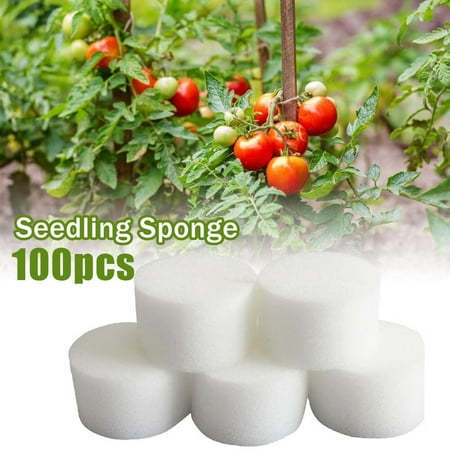 

Hydroponic Sponge Seed Growing Sponges Planting Gardening Tool for Greenhouse