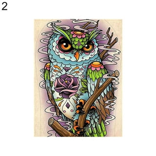 Junior Small Paint By Number Kit 8.75X11.75-Tawny Owls