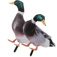 thumbnail image 5 of Gongc Outdoor Mallard Duck Statue Garden Decor Ornaments (2 Pcs), 5 of 6