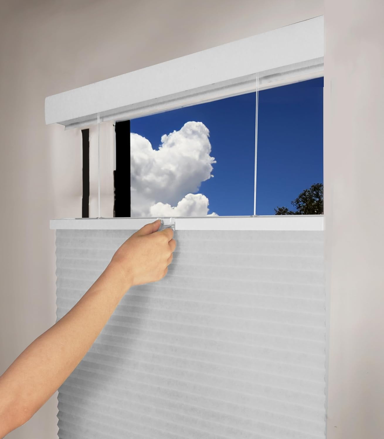 Chicology Salt Light Filtering Cordless Top Down Bottom Up Cellular Shades 40.25 in. W x 72 in. L
