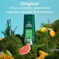 thumbnail image 5 of Irish Spring Original Clean Body Wash for Men, 591 mL, 5 of 5