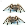 thumbnail image 5 of ZNNT 3D Spider Lizard Scorpion Car Sticker Vehicle Window Mirror Bumper Decal Decor Clearance_Car Sticker, 5 of 8