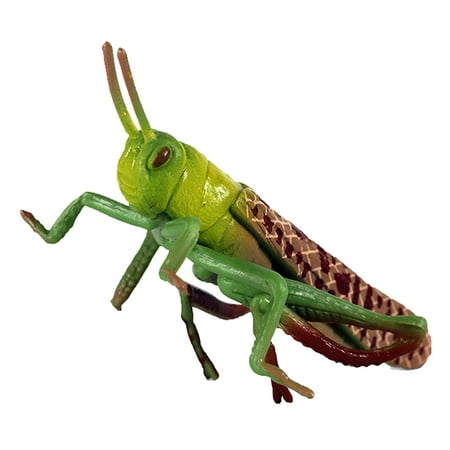 

1pc Simulation Locust Model Plastic Grasshopper Decor Insect Plastic Toy