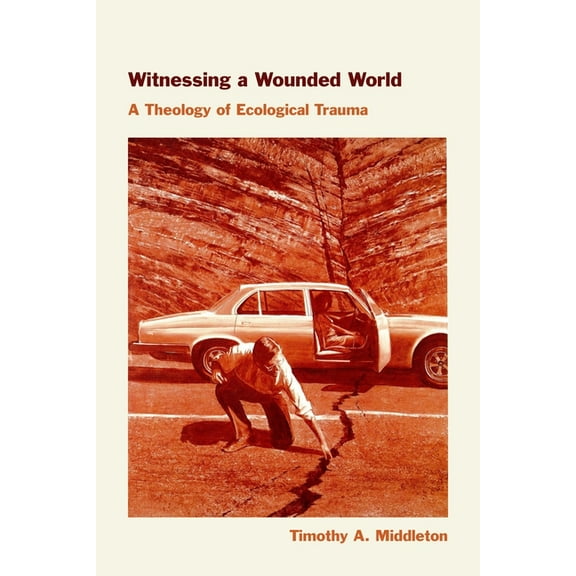Witnessing a Wounded World: A Theology of Ecological Trauma, (Paperback)
