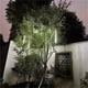 thumbnail image 5 of Juego de 1/2/3/4 luces de cadena con forma de lluvia de meteoritos, guirnaldas de hadas para la calle, decoraciones para árboles de Navidad para exteriores, luces de jardín para Año Nuevo, 5 of 5