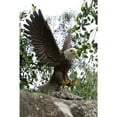 thumbnail image 4 of Hi-Line Gift 6 in Flying Eagle Garden Statue, Durable Polyresin, Intricate Detail, 4 of 8