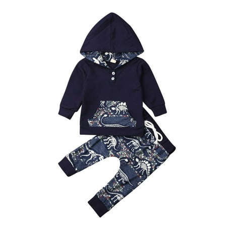 

Toddler Kids Baby Boy Thick Warm Clothes Dinosaur Hooded Tops Pants Outfits