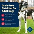 thumbnail image 4 of Blue Buffalo Freedom Grain-Free Natural Adult Dry Dog Food, Beef & Potatoes, 11-lb. Bag, 4 of 12