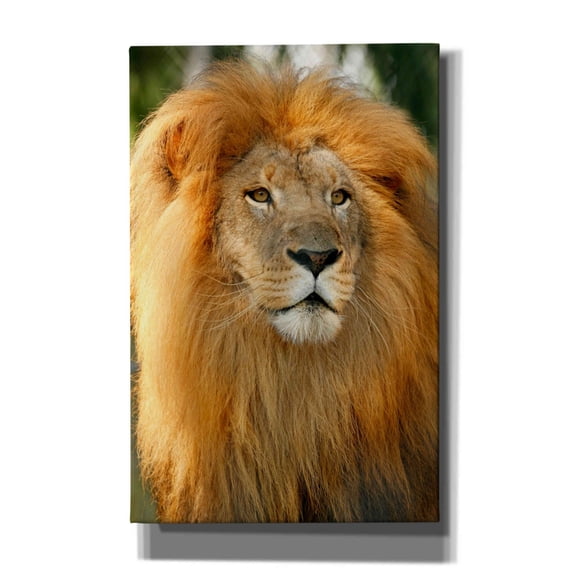 Epic Graffiti 'Lion' by Mike Jones, Giclee Canvas Wall Art, 26"x40"