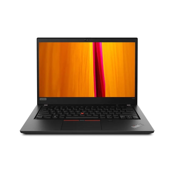 Restored Lenovo Thinkpad T495 14" Laptop AMD Ryzen 5 PRO 3500U 8 GB RAM 256GB SSD W11P (Refurbished)