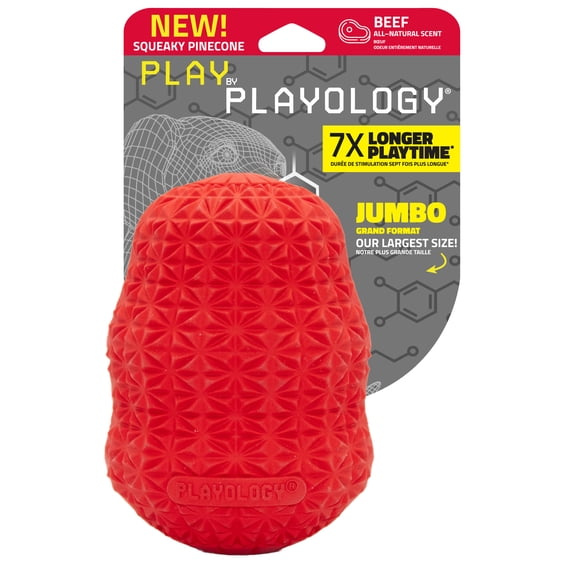 Playology Jumbo Squeaky Pinecone - Beef Scented Dog Toy