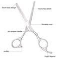 thumbnail image 4 of Professional Hair Thinning Scissor 6 Inches Blending Teeth Shears Texturizing Haircut Scissor Stainless Steel for Salon Barber Hairdresser, 4 of 8