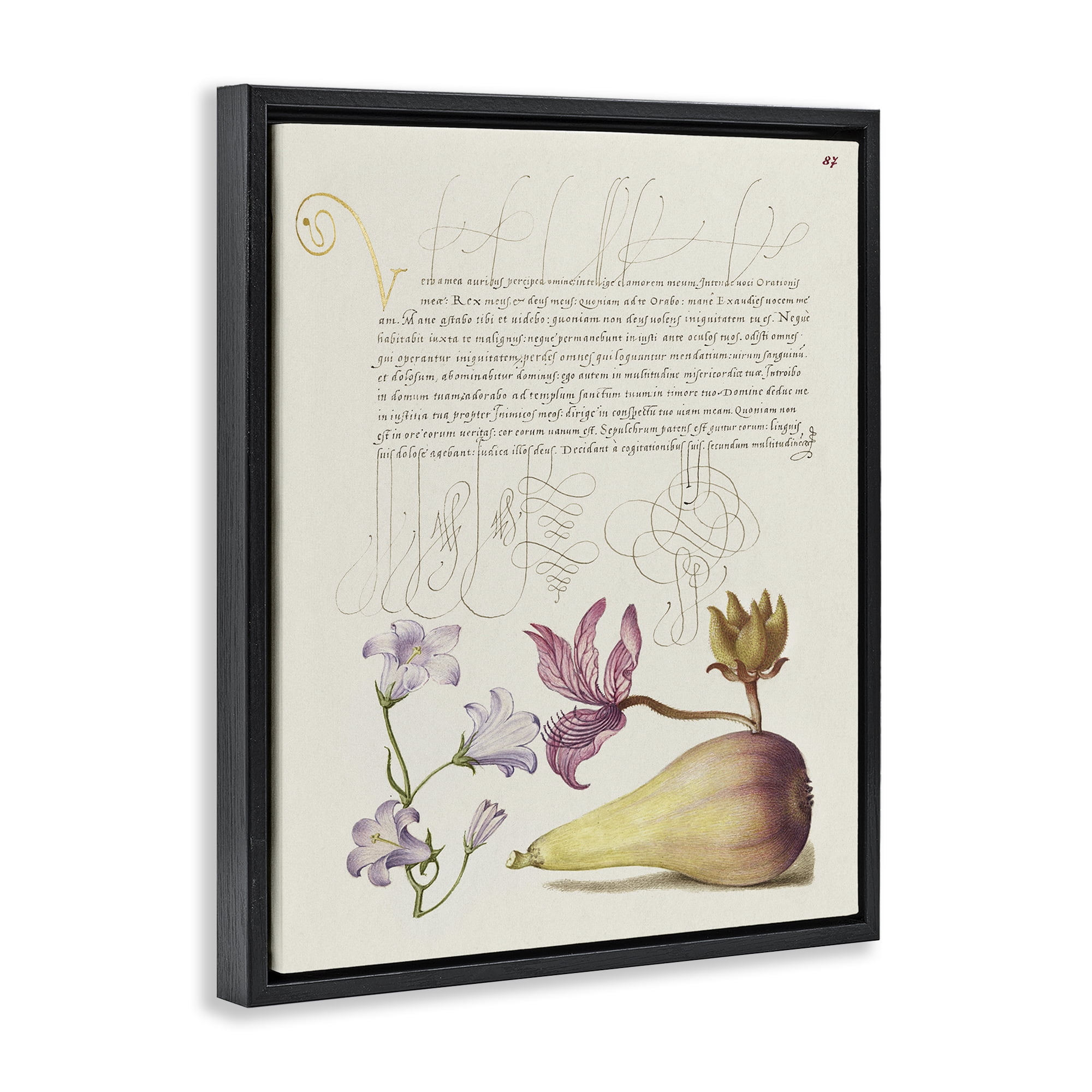 Stupell Industries Classical Cottage Plants Text & Numbers Painting Black Floater Framed Canvas Art Print Wall Art, 25 x 31