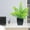 🔥Green4_Hot#3009, variant on Small Artificial Potted Plant for Home Decor – Green Fake Plant in Plastic Pot, Maintenance Free Desk or TV Stand Decoration for Living Room, Office, Wedding