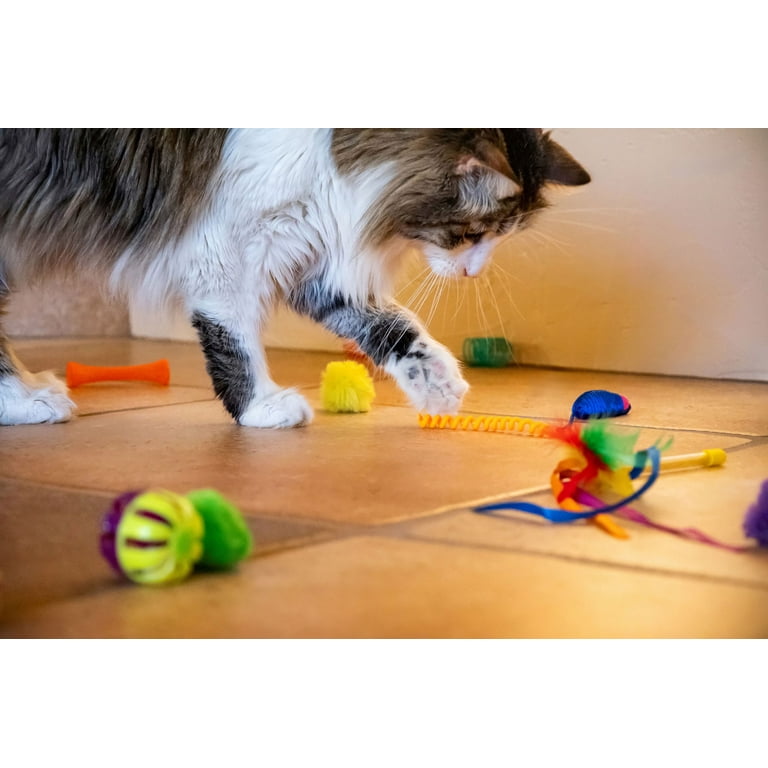 Vibrant Life 24 Piece Cat Toys Pack Assorted Indoor Play Chase and