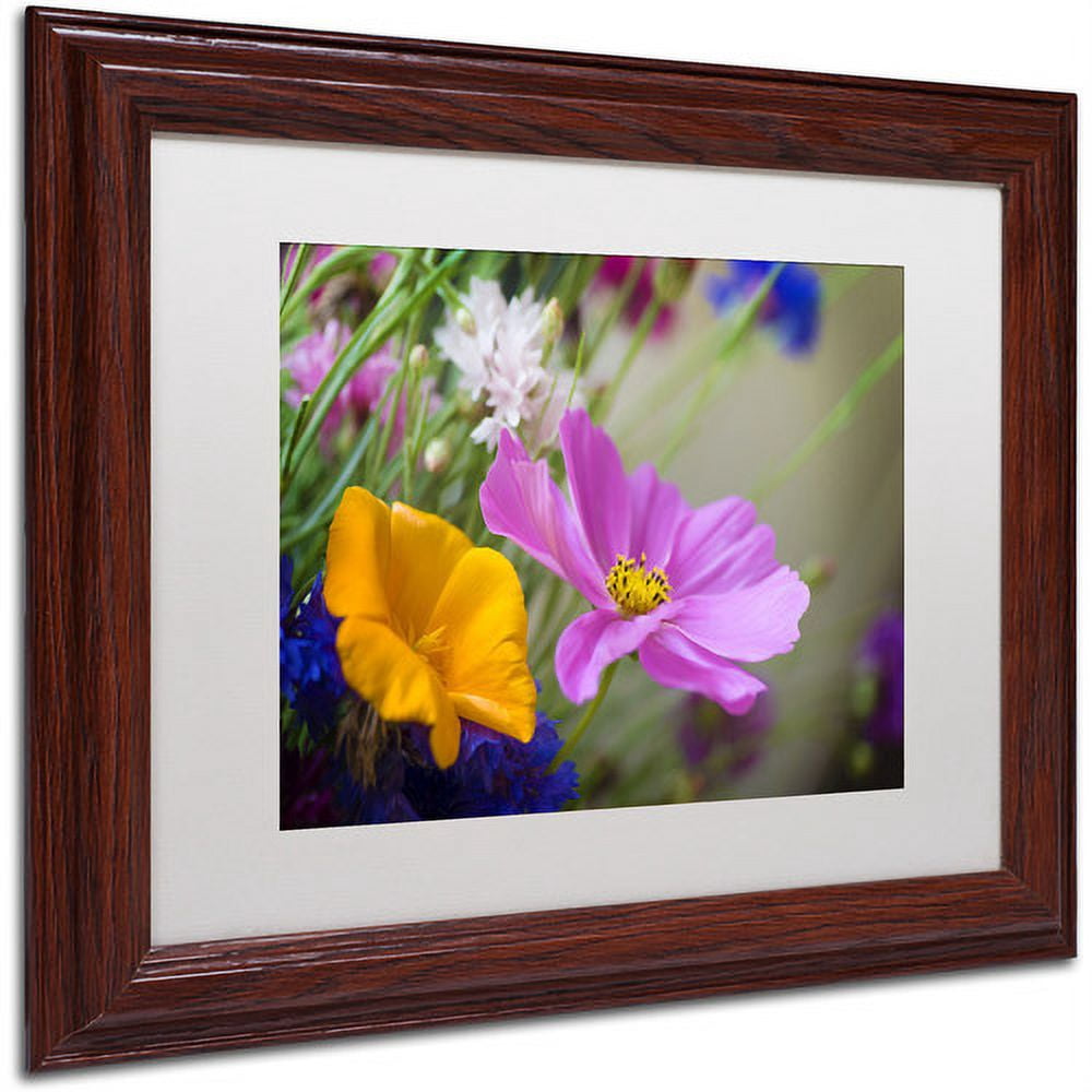 Trademark Fine Art "Cosmos of the Fields" Canvas Art by Philippe Sainte-Laudy, White Matte, Wood Frame