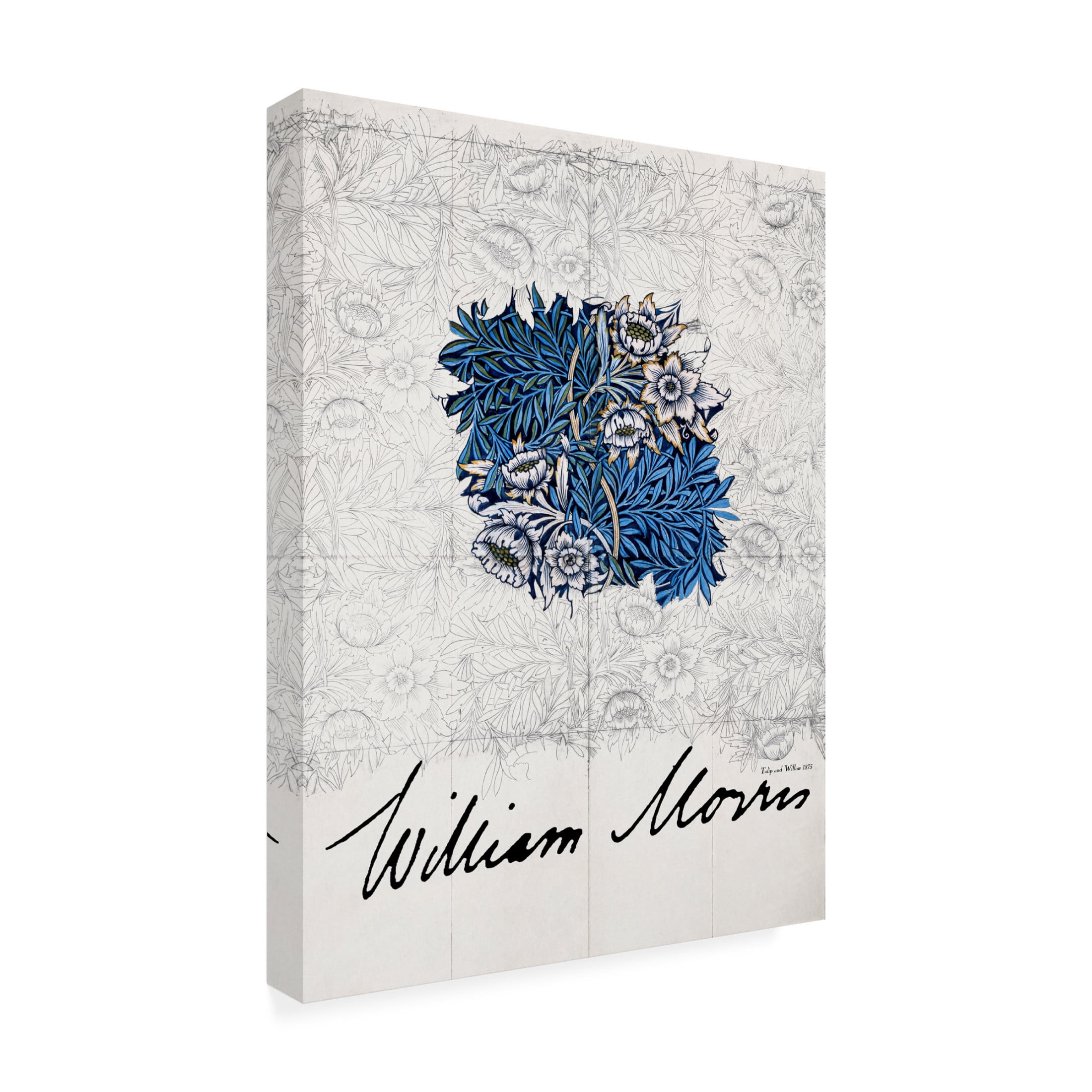 Trademark Fine Art Pictufy Tulip and Willow Canvas Wall Art
