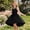 Black, variant on BRGZLK Girls Summer Dresses Formal Party Wedding Trendy Solid Color Round Neck Sleeveless Bow Belt Tulle Dress Mesh High Low Midi Dress Wine 7-8 Years