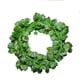 thumbnail image 1 of Guirnalda de hojas de plantas de hiedra de vid colgante de hojas de hiedra falsas de flores artificiales de 90 " UHUSE  Hojas de hiedra artificial, 1 of 8