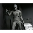 thumbnail image 2 of NECA Collectible Adult The Mummy Action Figure, Universal Monsters, 7”, 2 of 5